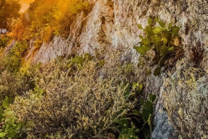 アテネ：究極の日の出ハイキング