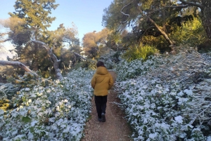 アテネ：究極の日の出ハイキング