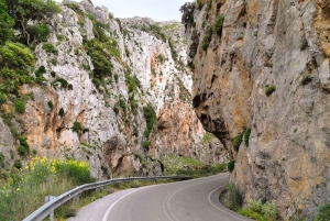 クレタ島：レティムノ発エコ＆ネイチャーツアー