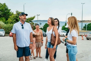 From Athens: Cape Sounion & Temple of Poseidon Half Day Tour