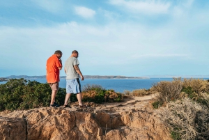 From Athens: Cape Sounion & Temple of Poseidon Half Day Tour