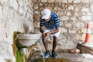 From Athens: Day Trip to Delphi and Arachova