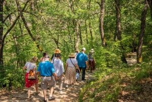 From Athens: Meteora Monasteries Bus Tour and Hidden Caves