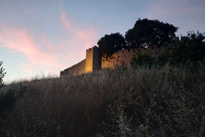 From Athens: Mt. Olympus National Park Guided Day Tour