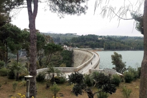 From Athens: Private Historic Tour to Marathon & Thermopylae