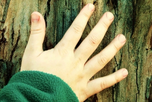 Mitologia greca per bambini: Tour privato