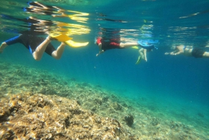 Nea Makri: Marathon Cape & Bay of Schinias Snorkeling Trip