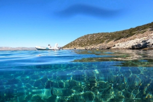 Nea Makri: Marathon Cape & Bay of Schinias Snorkeling Trip