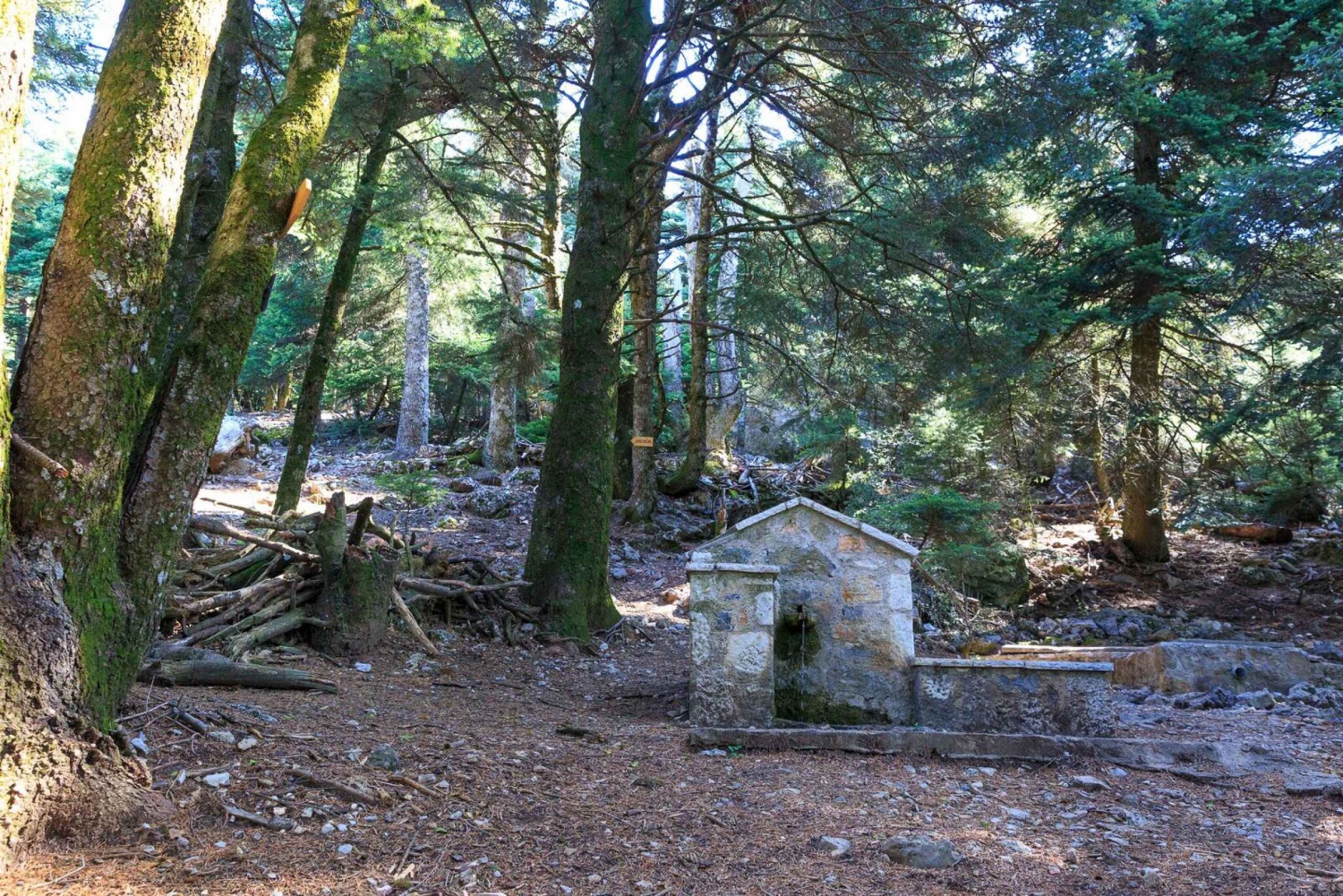 パルニタ (パルニス) / スキピザ & モーラ ループ - アテネ近郊のハイキング