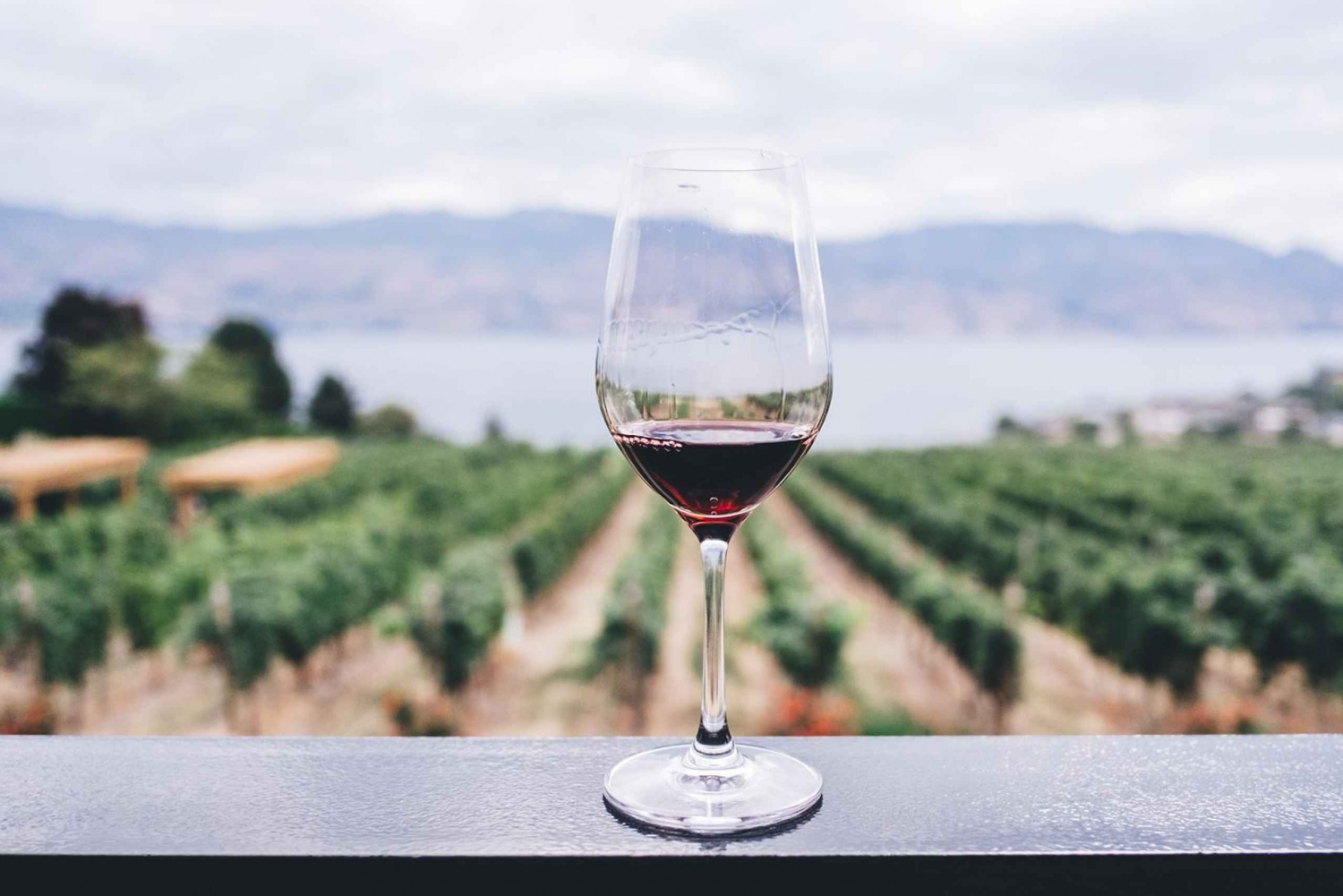 Privat vinsmaking i Athen