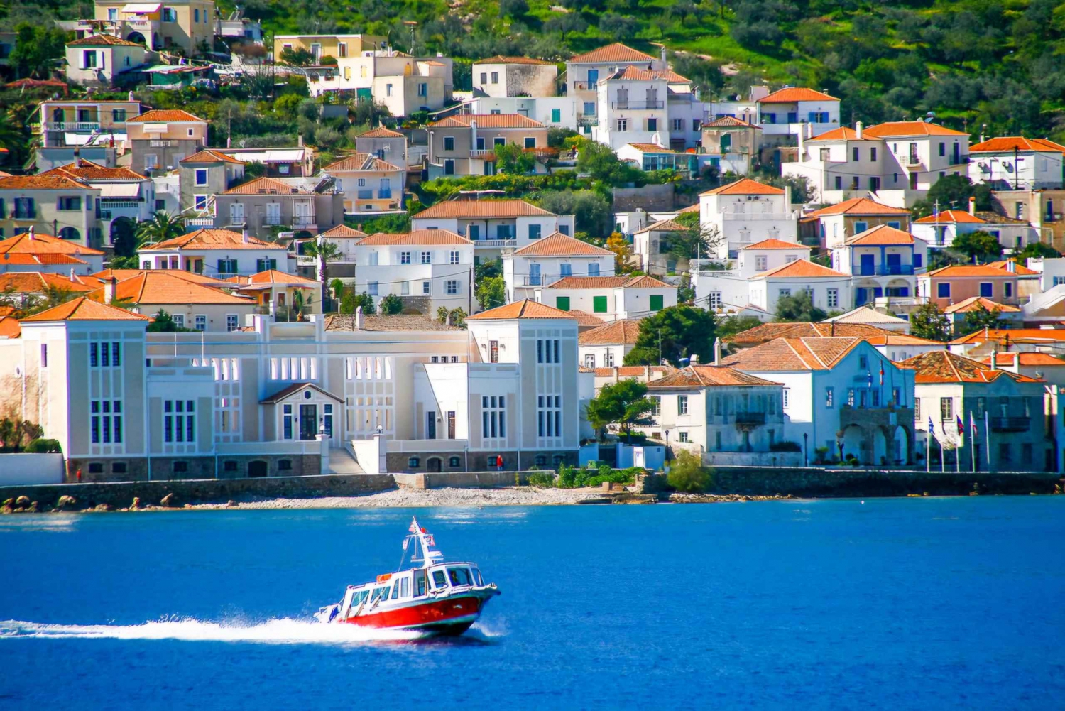 Viagem de 1 dia à Ilha de Spetses a partir de Atenas