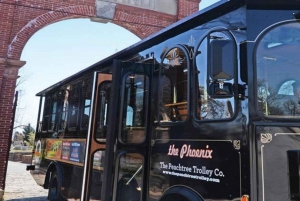 Atlanta: 1.5-Hour Highlight Trolley Tour