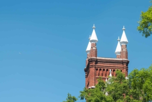 Höjdpunkter i centrala Atlanta: privat guidad rundvandring