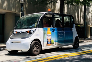 Atlanta Electric Car City Tour