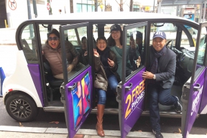 Atlanta Electric Car City Tour