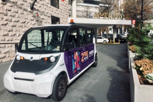 Atlanta Electric Car City Tour