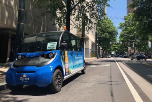 Atlanta Electric Car City Tour