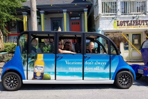 Atlanta Electric Car City Tour