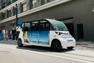 Atlanta Electric Car City Tour