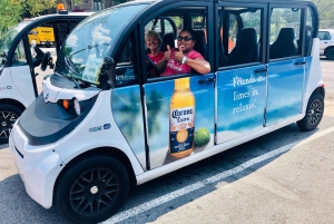 Atlanta Electric Car City Tour