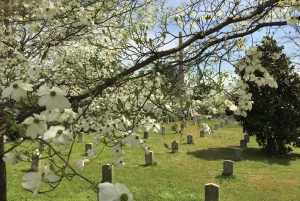 Atlanta: From Civil War to Civil Rights Private Tour