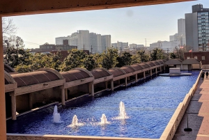 Atlanta: From Civil War to Civil Rights Private Tour