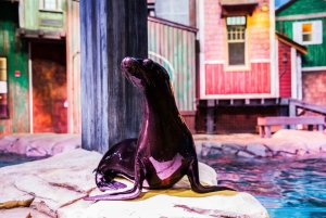 Atlanta: Georgia Aquarium Skip-the-Box-Office Entry Ticket