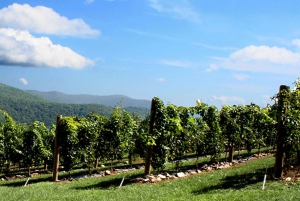 From Atlanta: Half-Day or Full-Day Wine Country Tasting Trip