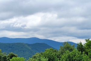 From Atlanta: Half-Day or Full-Day Wine Country Tasting Trip