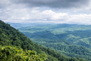 Von Atlanta aus: Halbtagestour