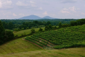 Von Atlanta aus: Halbtagestour