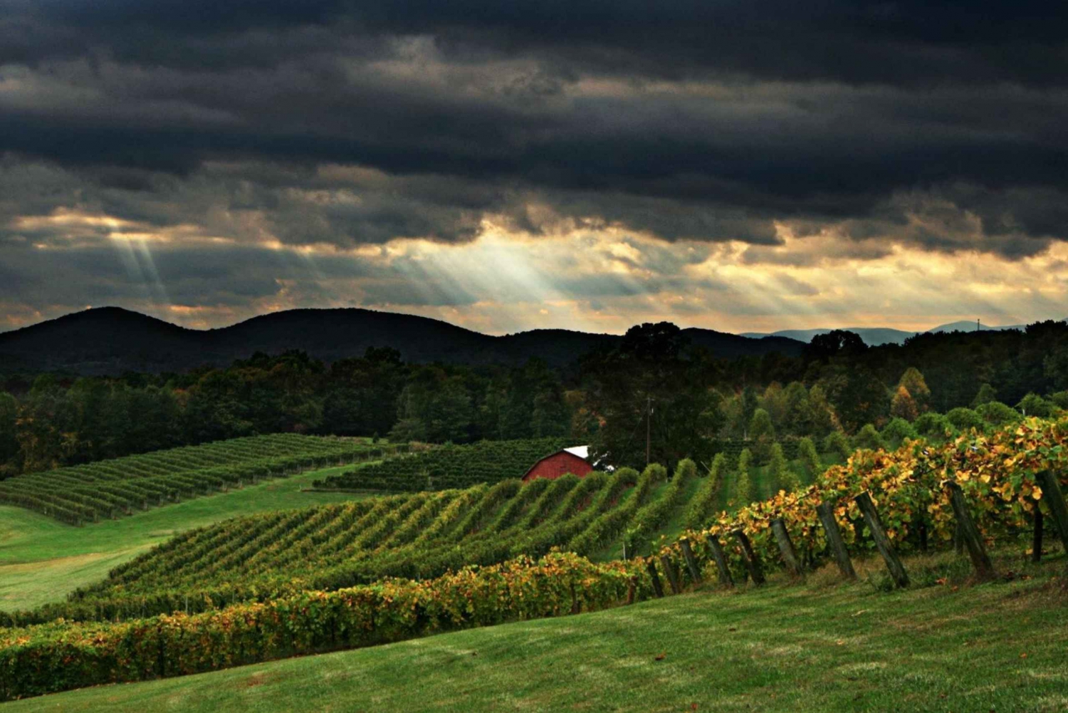Från Atlanta: North Georgia Wine Country Tour