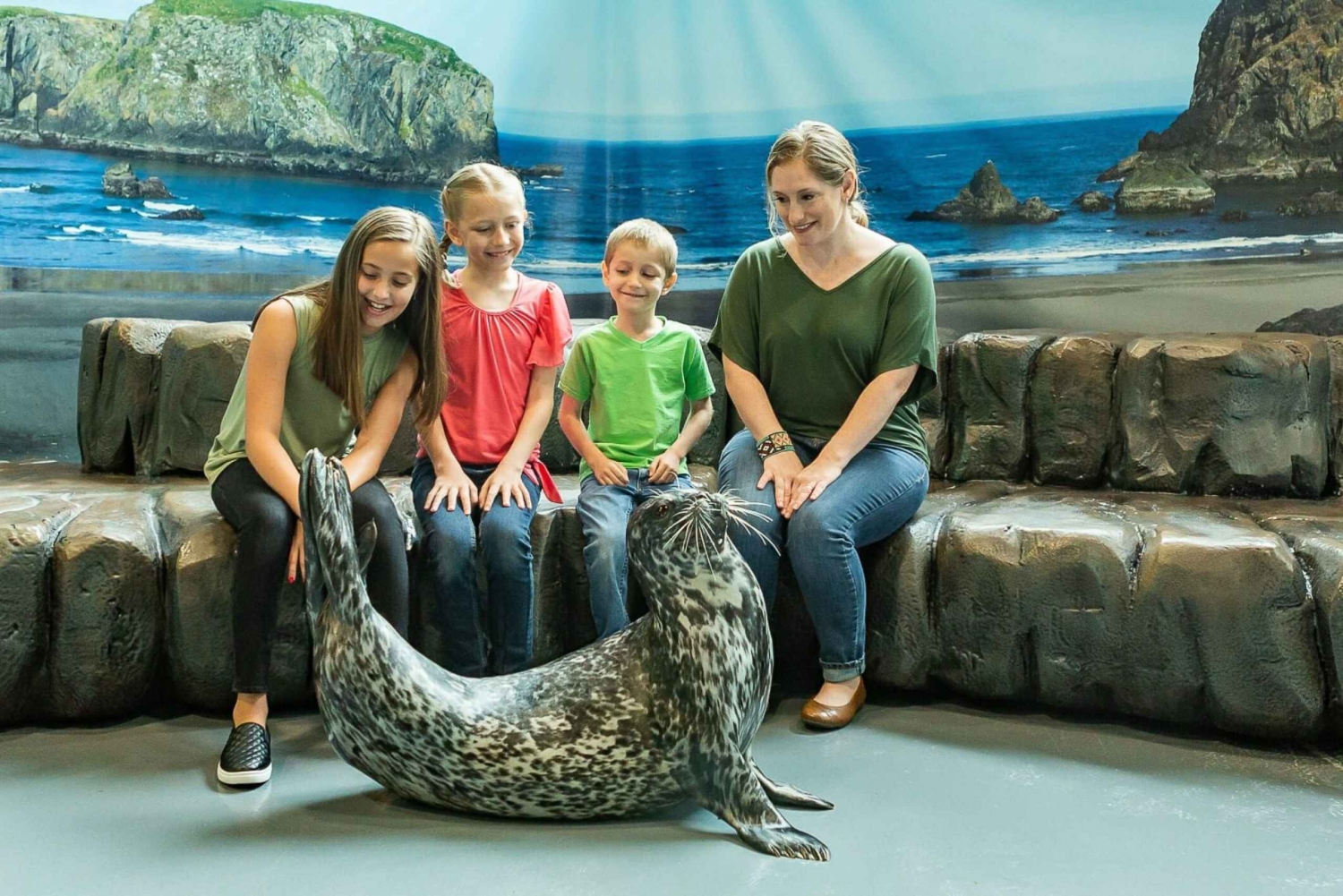 Georgia Aquarium: Möte med sjölejon