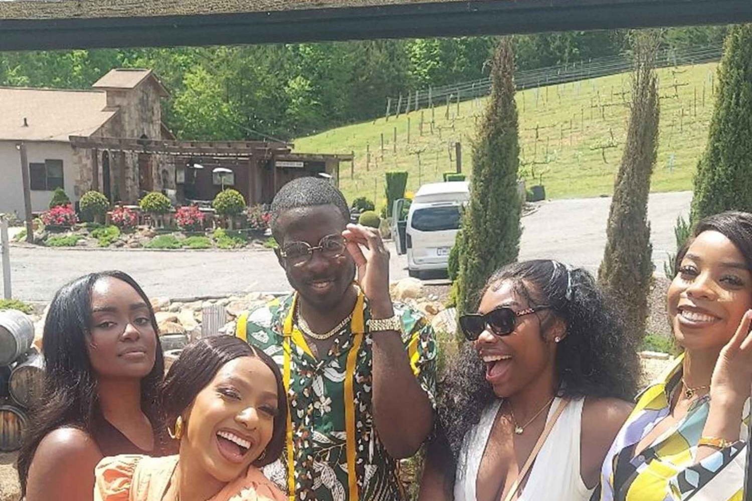 Atlanta: Georgia Vineyards Wine Tour