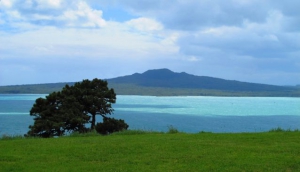 Rangitoto Island