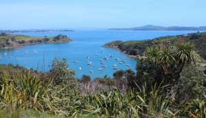 Waiheke Island