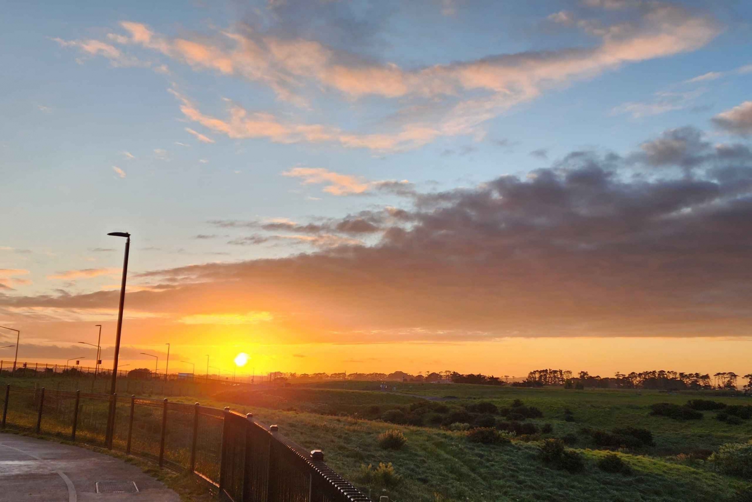 Auckland: Stadsrondleiding Auckland 4 uur privé