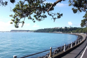 Auckland: Byens højdepunkter og oplevelsen af den indfødte skov