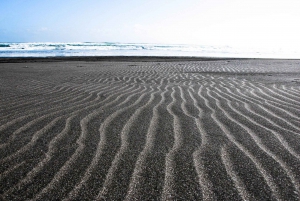 Auckland: Byens højdepunkter og oplevelsen af den indfødte skov