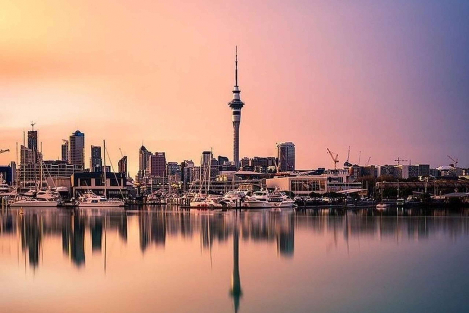 Auckland Stad Hoogtepunten Dagvullende Tour