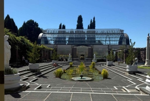 Half-Day Auckland City Tour – The City of Sails Uncovered