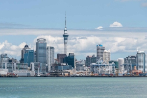 Half-Day Auckland City Tour – The City of Sails Uncovered