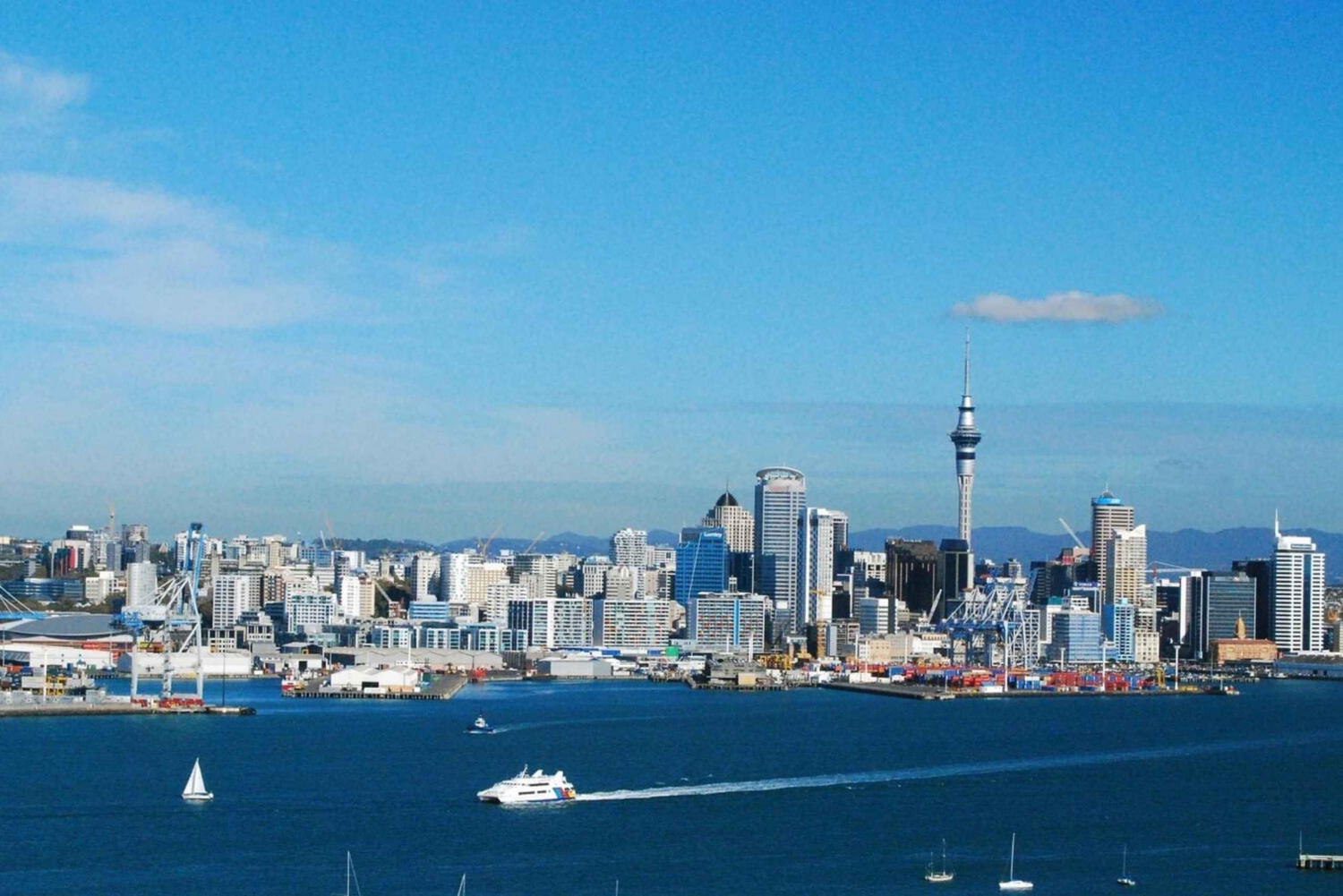 Auckland City Top Spots Half Day Tour(Kleingruppentour)