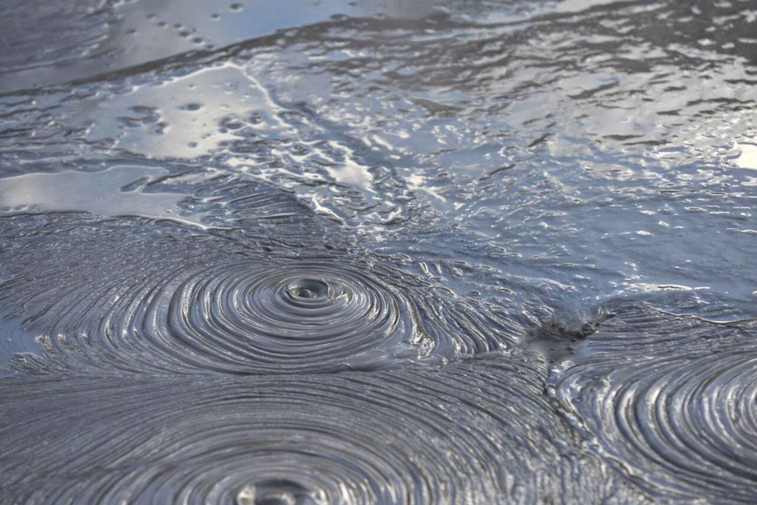 Auckland: Dagtrip naar Rotorua Geothermische Vallei