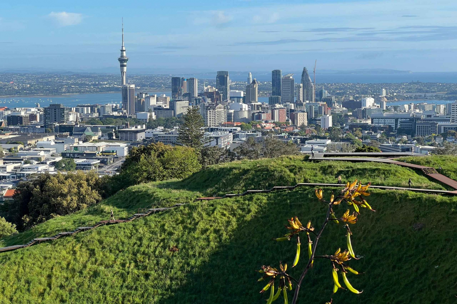Auckland CITY HIGHLIGHTS Tour met ophaalservice bij je hotel