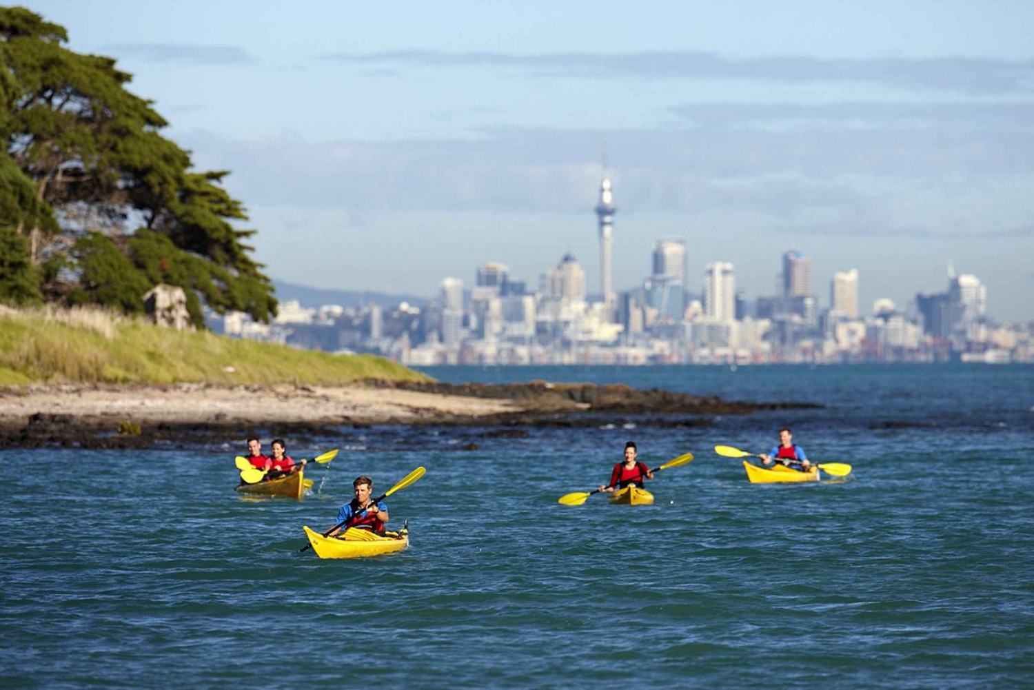 Auckland : Visite d'une demi-journée en kayak de mer sur l'île de Motukorea