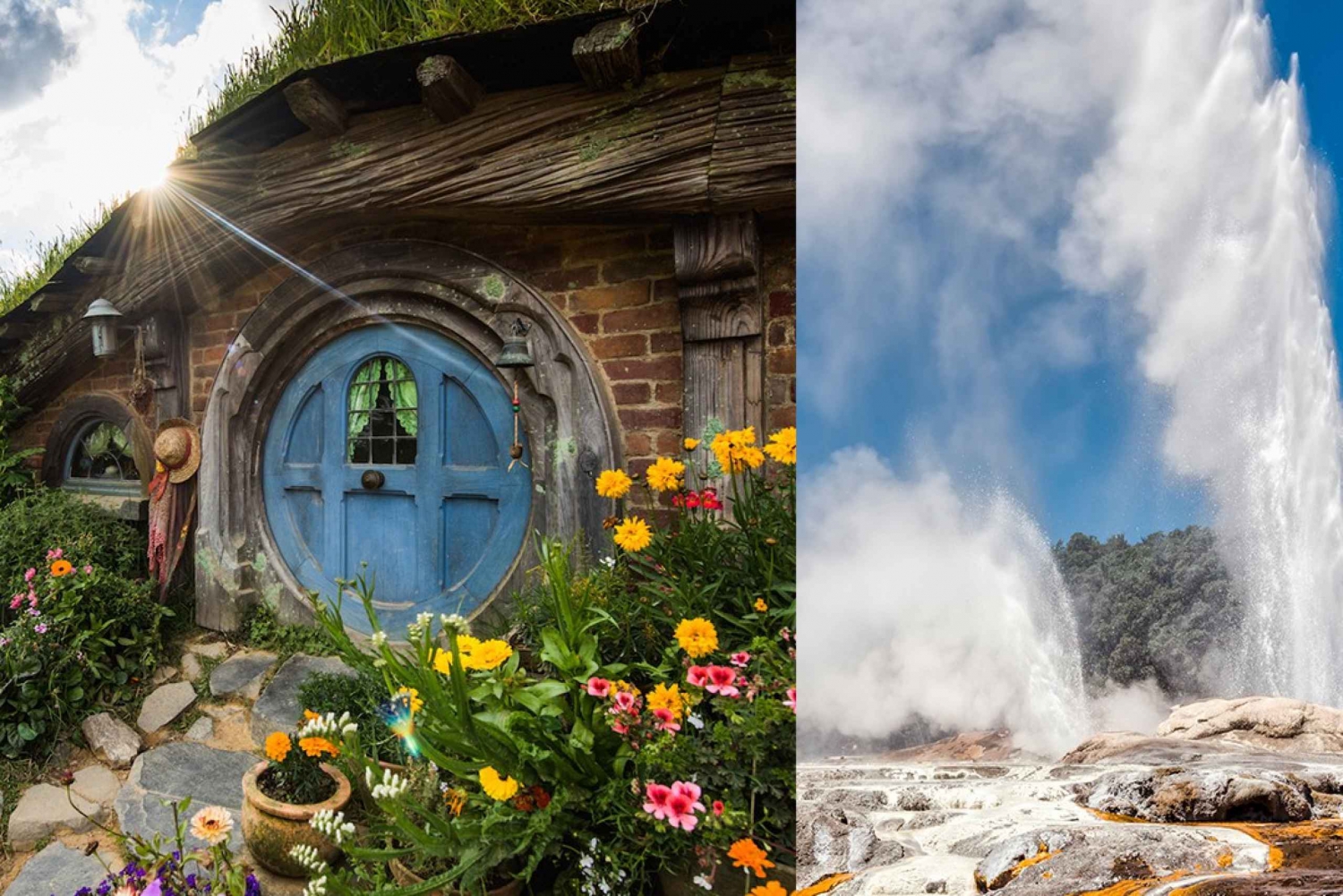 Auckland: Hobbiton en Rotorua dagtour inclusief Te Puia