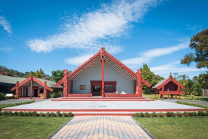 Auckland: Hobbiton Movie Set & Te Puia – tur i liten grupp