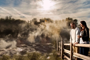 Auckland: Hobbiton Movie Set & Te Puia – tur i liten grupp