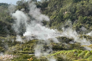 Auckland: Hobbiton Movie Set & Te Puia – tur i liten grupp